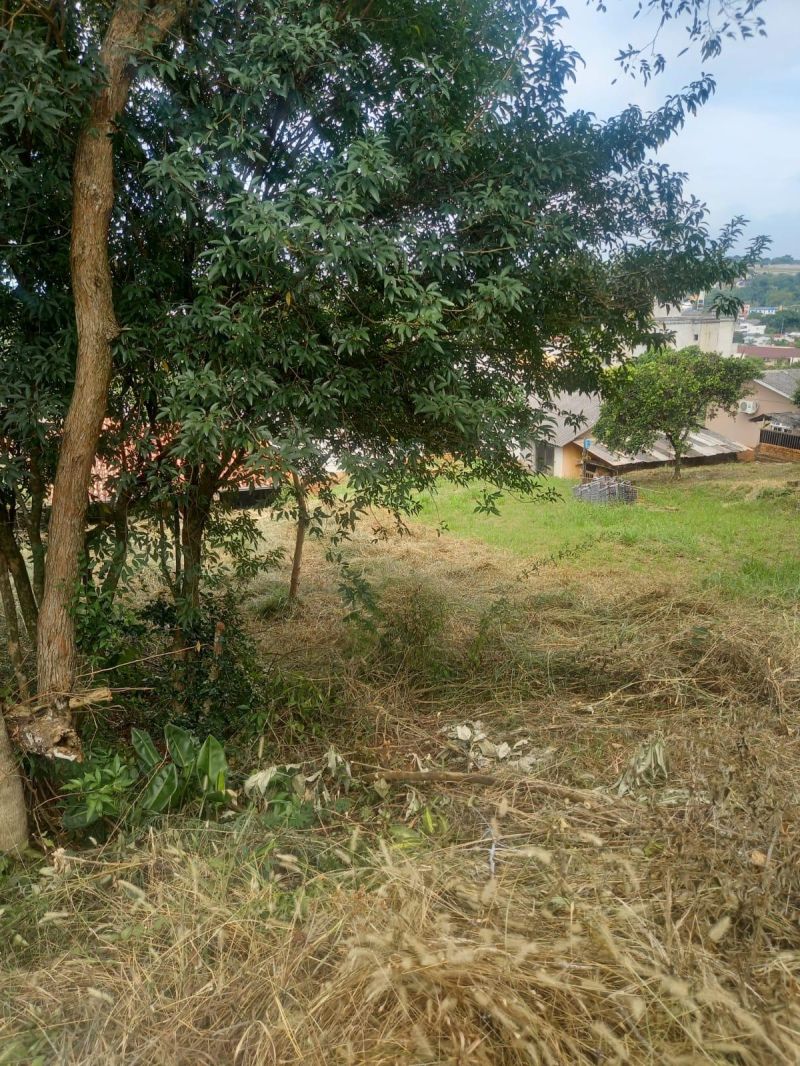 Terreno à venda no bairro Petropolis, Taquara