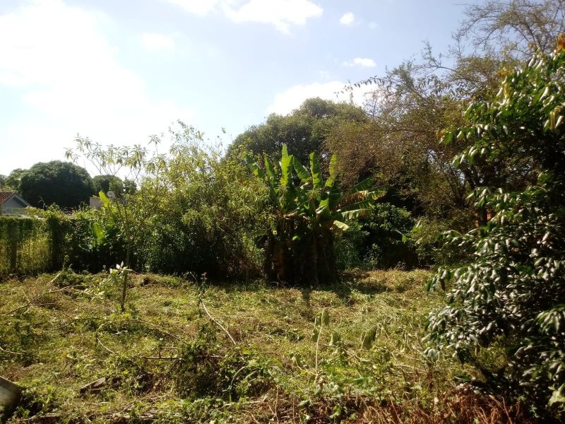 Terreno à venda no bairro Petropolis, Taquara