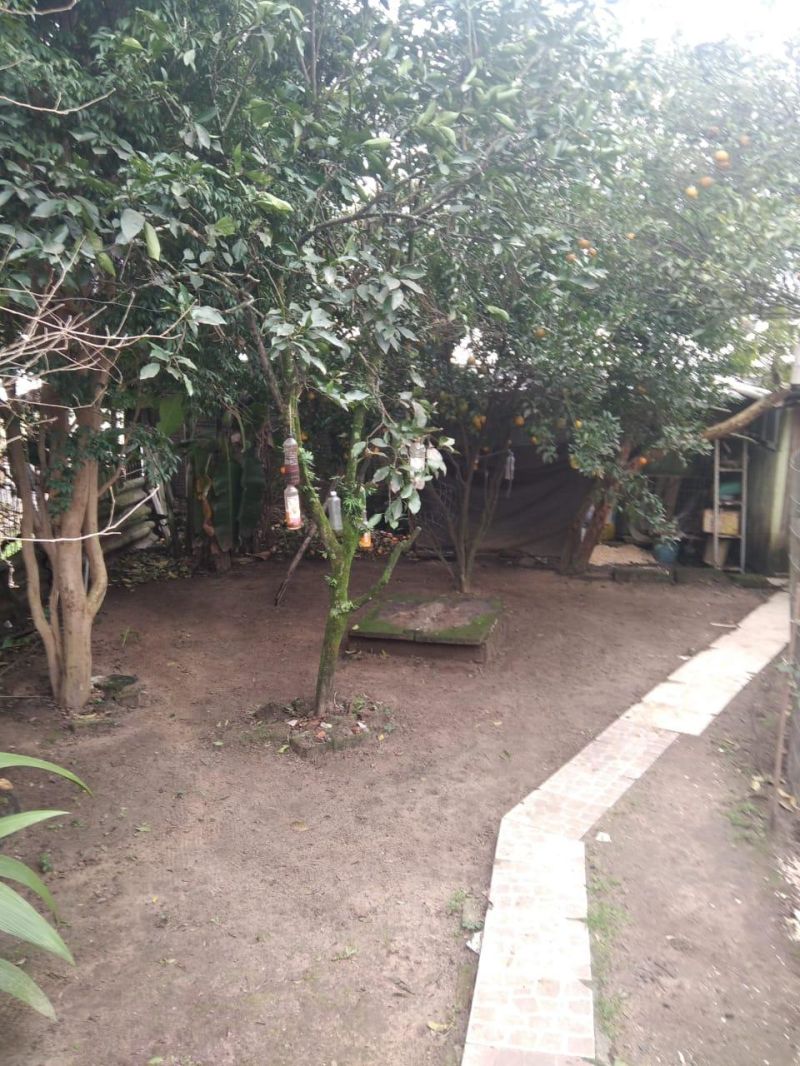 Casa com 5 quartos, 3 banheiros e 180m² à venda no bairro Petropolis, Taquara
