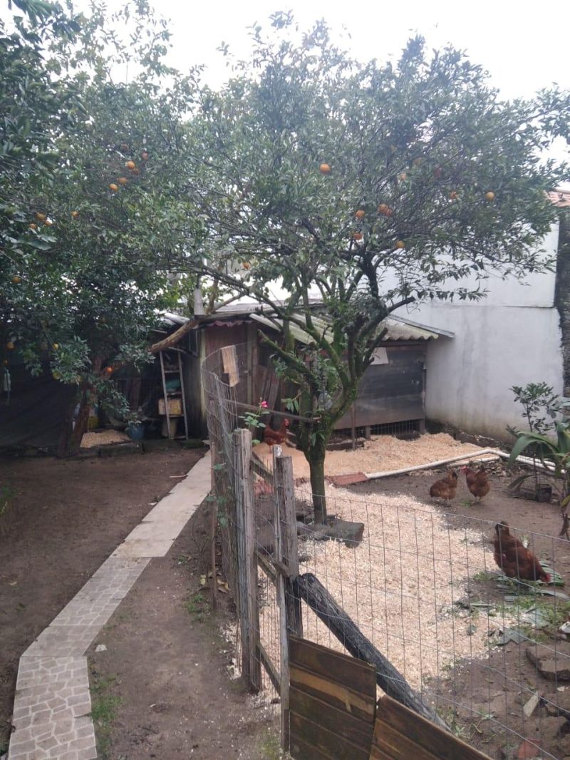 Casa com 5 quartos, 3 banheiros e 180m² à venda no bairro Petropolis, Taquara