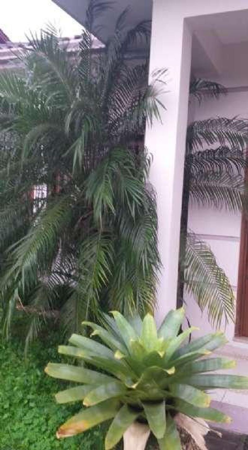 Casa com 3 quartos, 2 banheiros e 126m² à venda no bairro Nossa Senhora de Fatima, Taquara