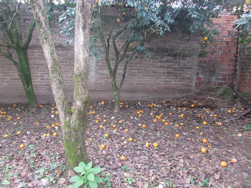 Casa com 3 quartos, 2 banheiros e 112m² à venda no bairro Integracao, Parobe