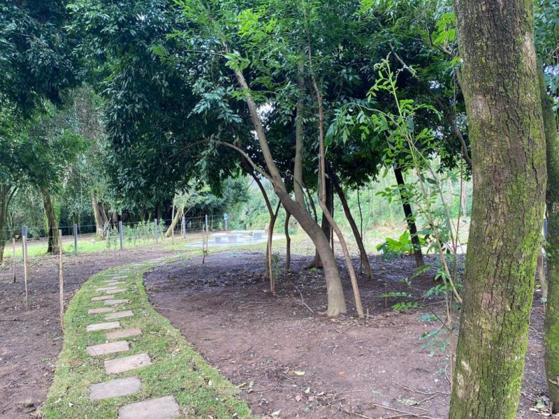 Apartamento com 2 quartos e 2 banheiros para alugar no bairro Centro, Igrejinha