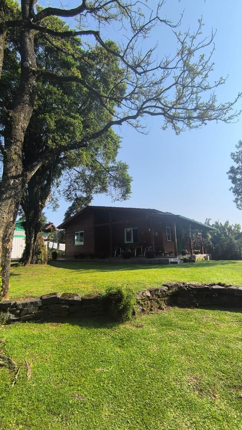 Sítio com 3 quartos, 1 banheiro e 80m² à venda no bairro Figueira, Igrejinha