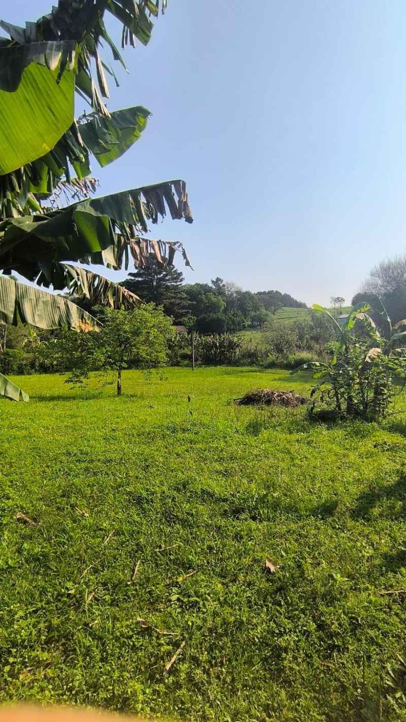 Sítio com 3 quartos, 1 banheiro e 80m² à venda no bairro Figueira, Igrejinha