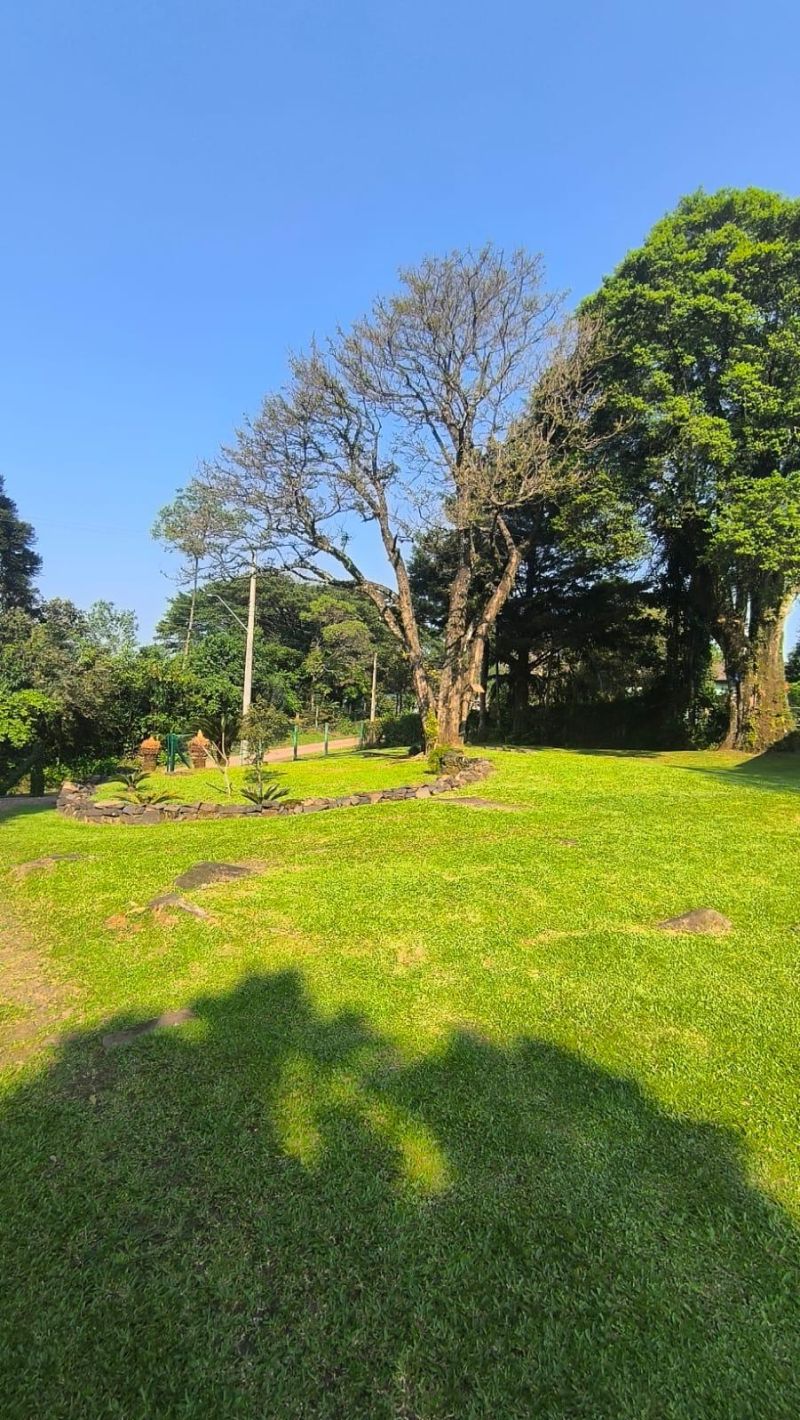 Sítio com 3 quartos, 1 banheiro e 80m² à venda no bairro Figueira, Igrejinha
