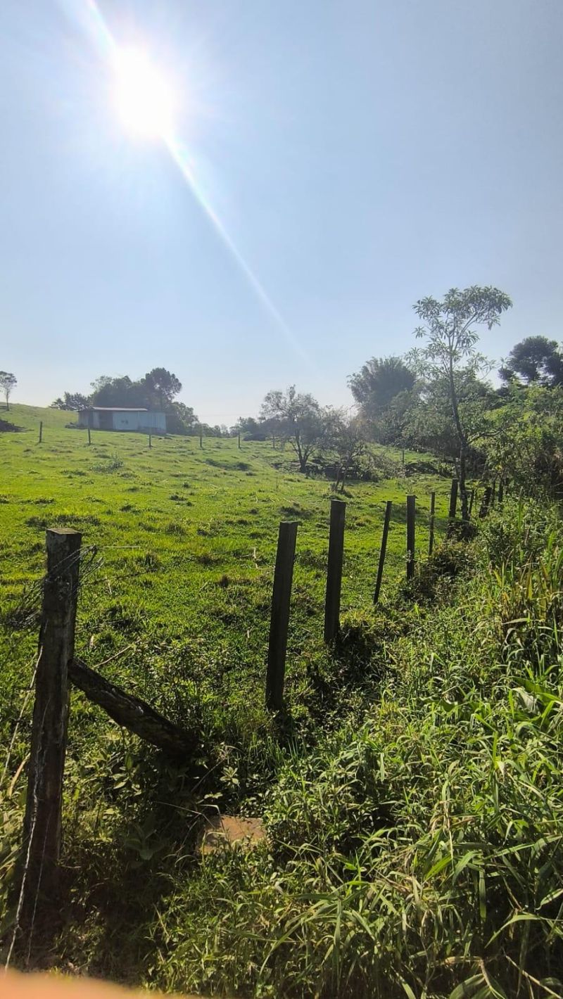 Sítio com 3 quartos, 1 banheiro e 80m² à venda no bairro Figueira, Igrejinha