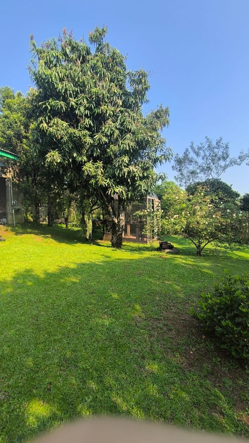 Sítio com 3 quartos, 1 banheiro e 80m² à venda no bairro Figueira, Igrejinha