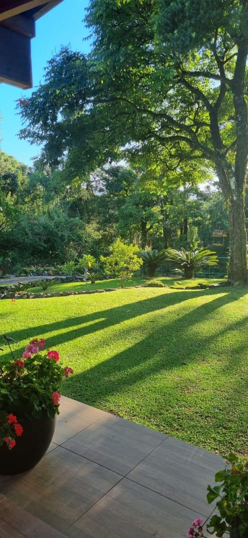 Sítio com 3 quartos, 1 banheiro e 80m² à venda no bairro Figueira, Igrejinha