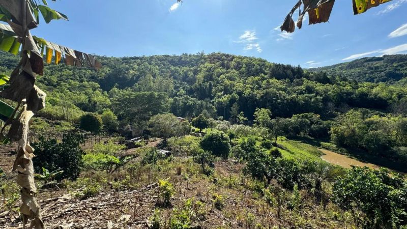 Sítio com 3 quartos, 2 banheiros e 117m² à venda no bairro Zona Rural, Igrejinha