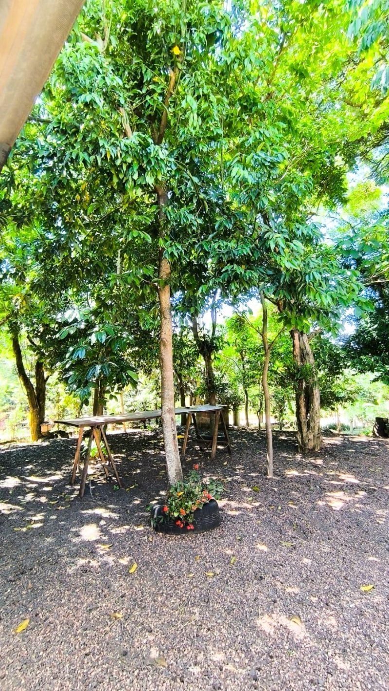Sítio com 2 quartos, 1 banheiro e 70m² à venda no bairro Lajeadinho, Igrejinha