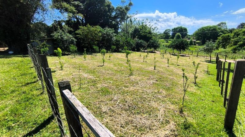 Sítio com 2 quartos, 1 banheiro e 70m² à venda no bairro Lajeadinho, Igrejinha