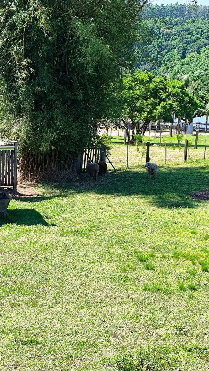 Sítio com 2 quartos, 1 banheiro e 70m² à venda no bairro Lajeadinho, Igrejinha