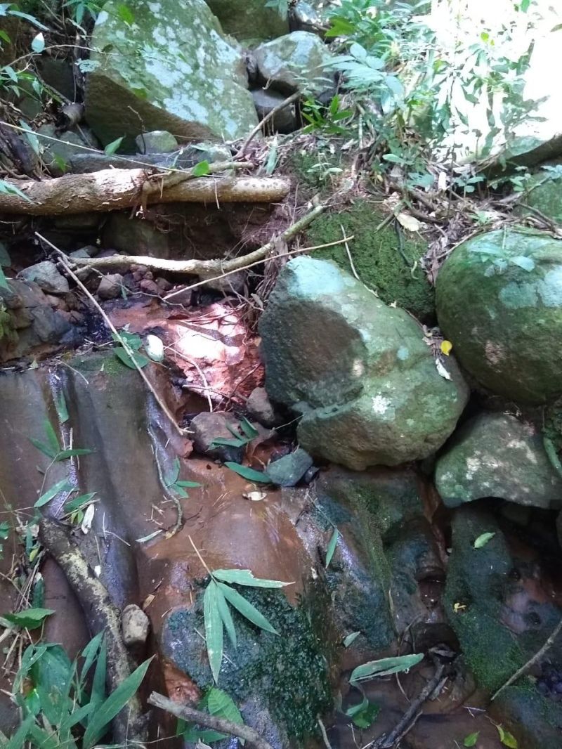 Sítio à venda no bairro Solitaria, Igrejinha