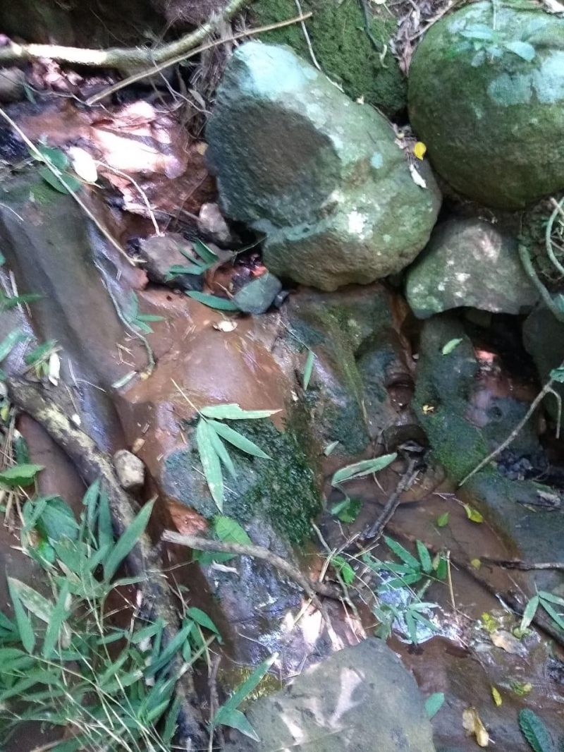 Sítio à venda no bairro Solitaria, Igrejinha