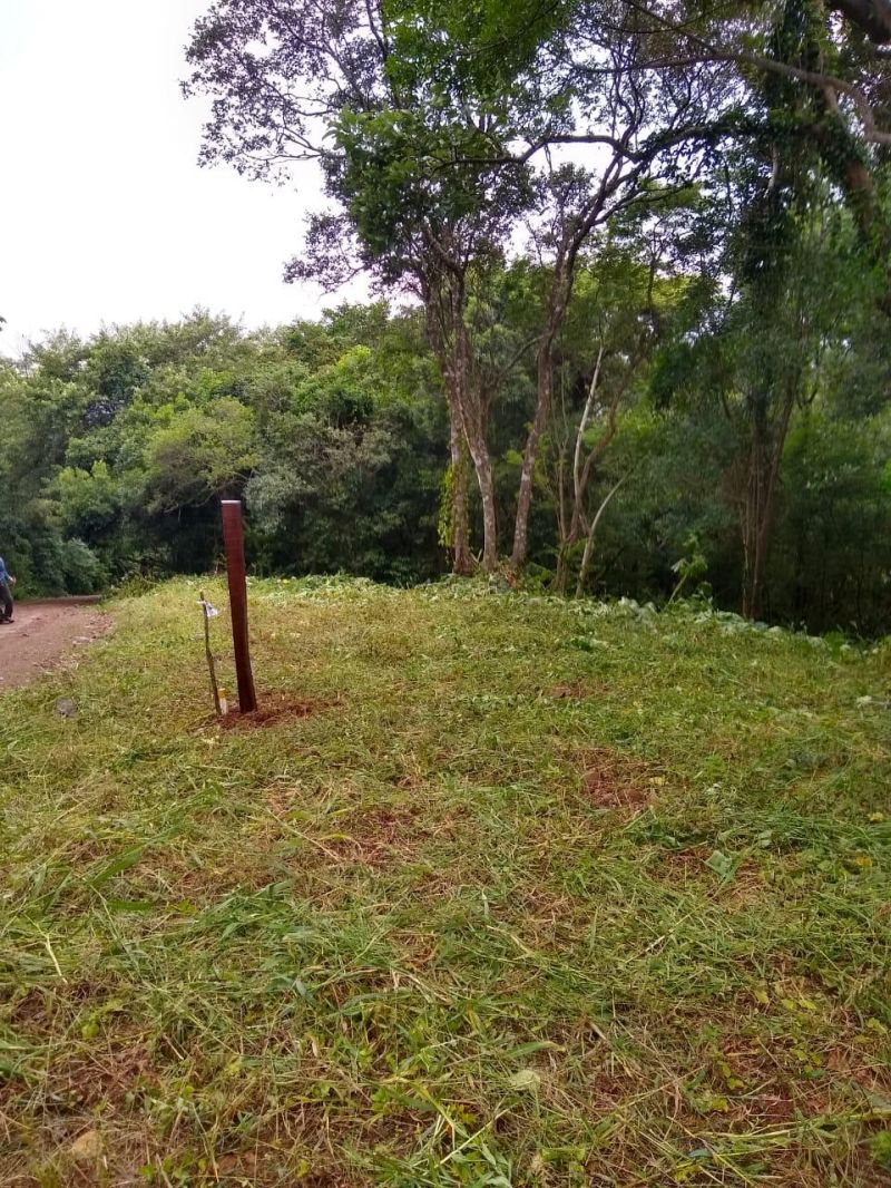 Sítio à venda no bairro Solitaria, Igrejinha