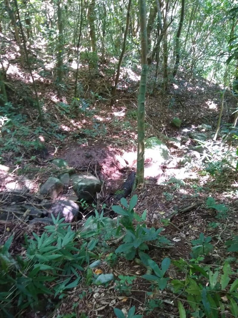 Sítio à venda no bairro Solitaria, Igrejinha