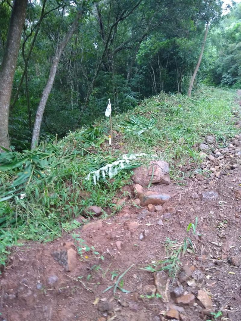 Sítio à venda no bairro Solitaria, Igrejinha