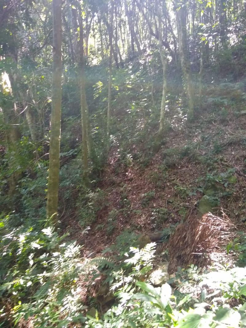 Sítio à venda no bairro Solitaria, Igrejinha