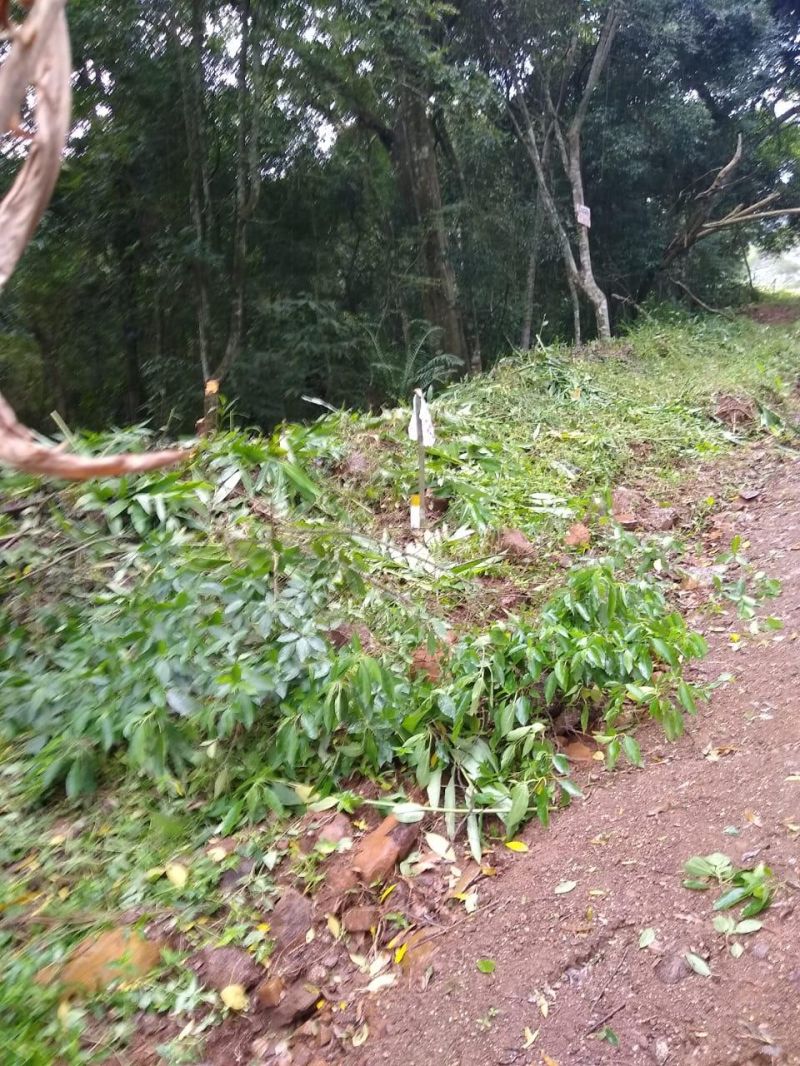 Sítio à venda no bairro Solitaria, Igrejinha