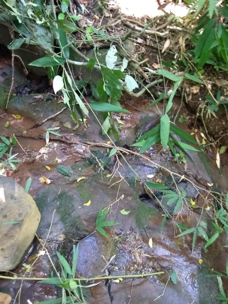 Sítio à venda no bairro Solitaria, Igrejinha