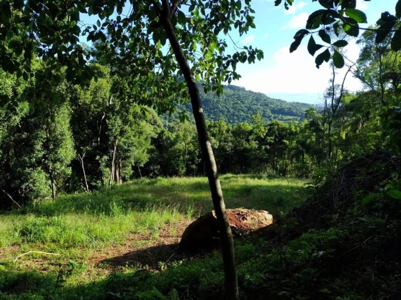 Sítio à venda no bairro Serra Grande, Igrejinha