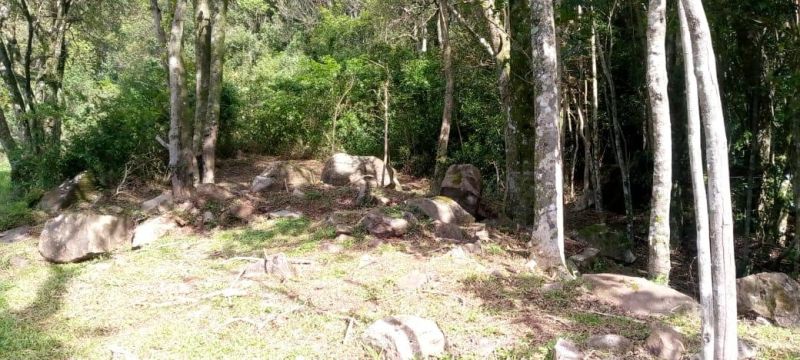 Sítio à venda no bairro Serra Grande, Igrejinha