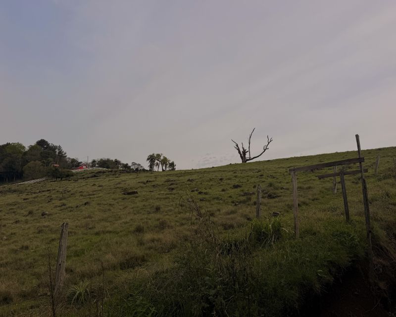 Sítio com 1 quarto e 1 banheiro à venda no bairro Lajeadinho, Igrejinha
