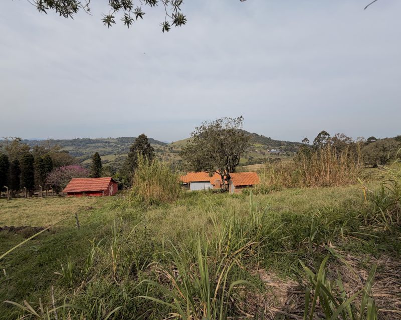Sítio com 1 quarto e 1 banheiro à venda no bairro Lajeadinho, Igrejinha
