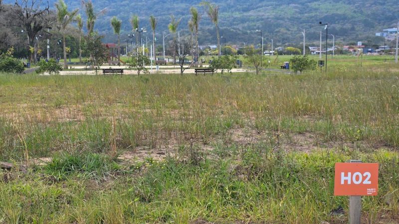 Terreno à venda no bairro Figueira, Igrejinha