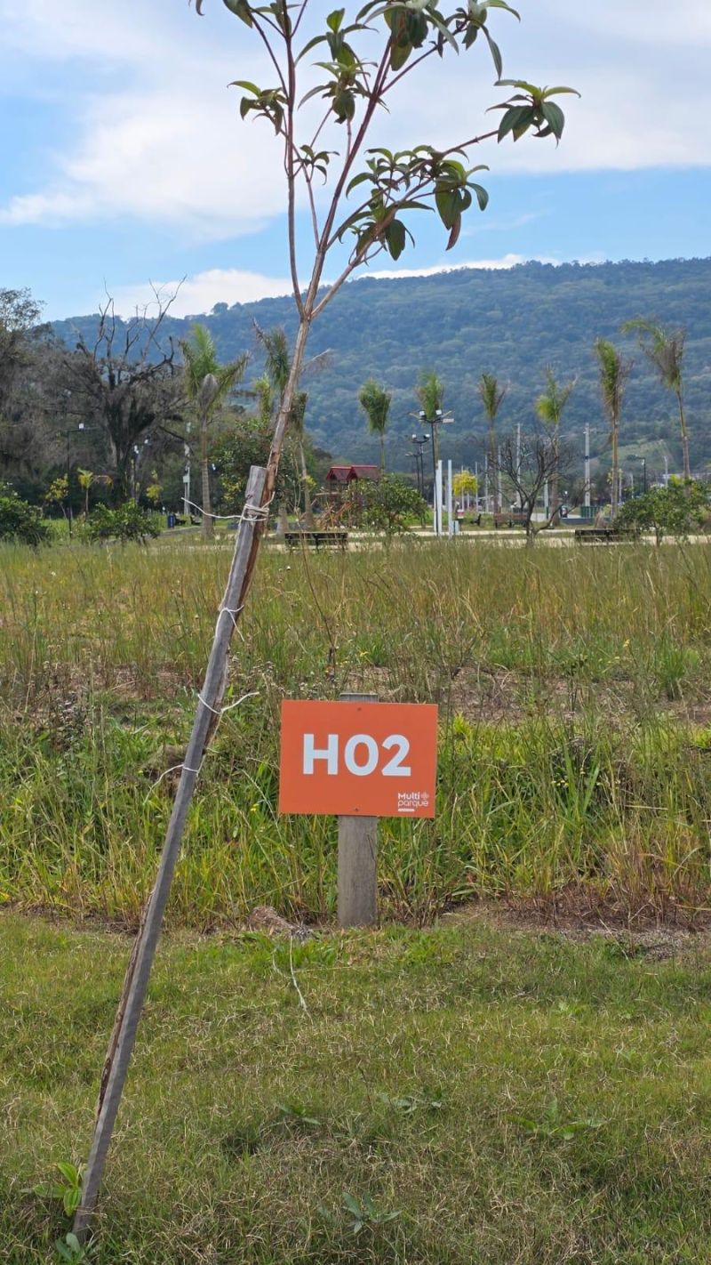 Terreno à venda no bairro Figueira, Igrejinha