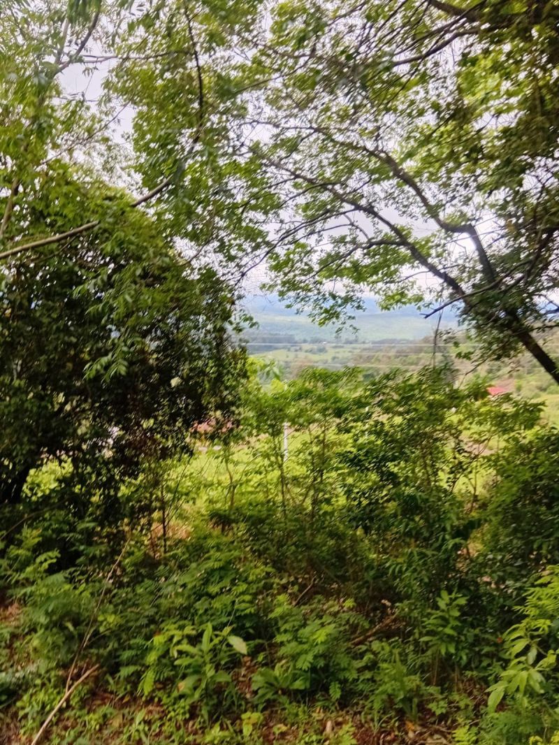 Terreno à venda no bairro Rochedo, Igrejinha