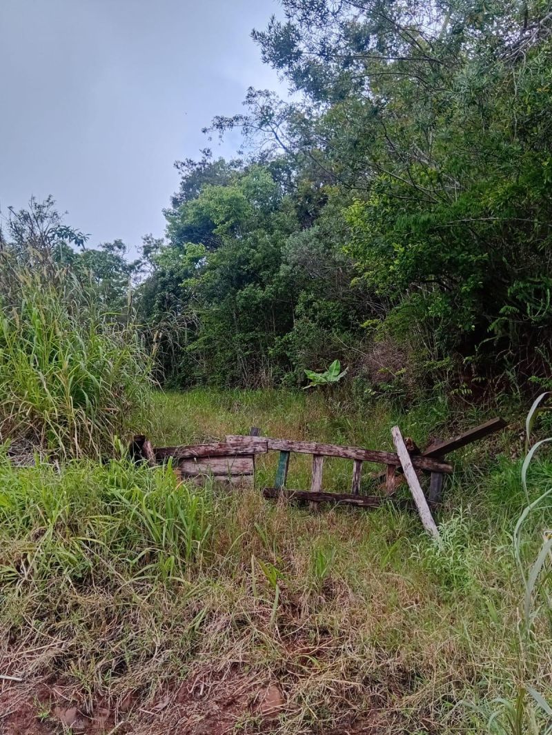 Terreno à venda no bairro Rochedo, Igrejinha