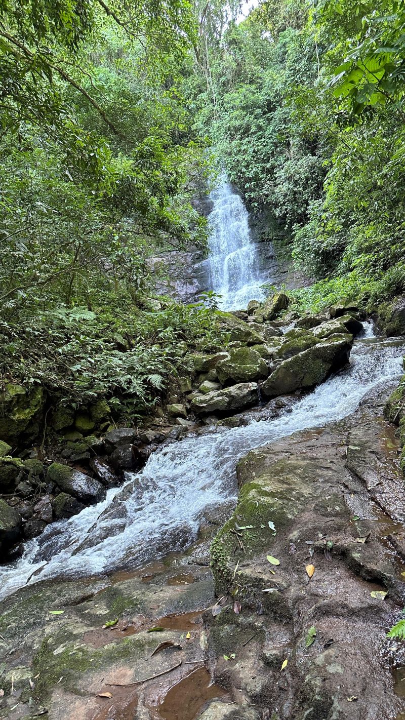 Um refúgio particular em meio à natureza. Com 11.700m² com piscina natural e água corrente, acesso privativo a duas cascatas.