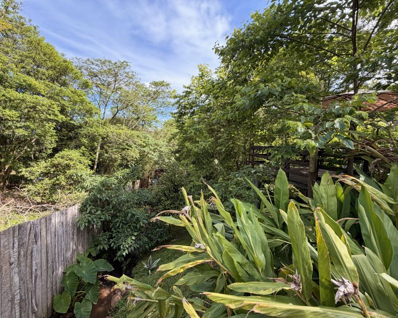 Um refúgio particular em meio à natureza. Com 11.700m² com piscina natural e água corrente, acesso privativo a duas cascatas.