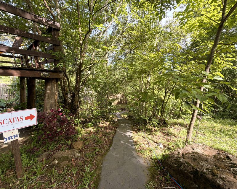 Um refúgio particular em meio à natureza. Com 11.700m² com piscina natural e água corrente, acesso privativo a duas cascatas.