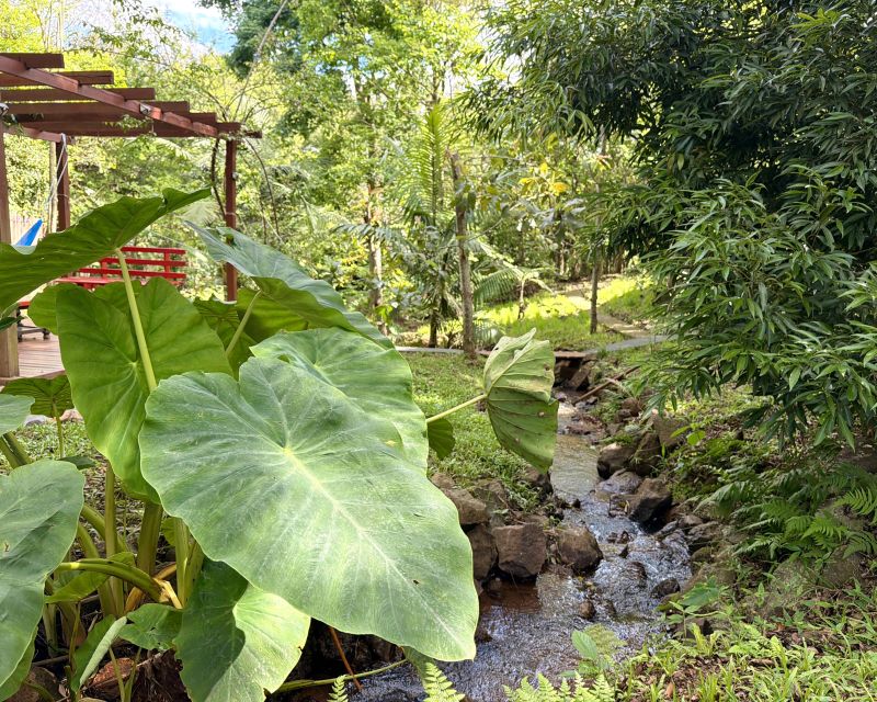 Um refúgio particular em meio à natureza. Com 11.700m² com piscina natural e água corrente, acesso privativo a duas cascatas.