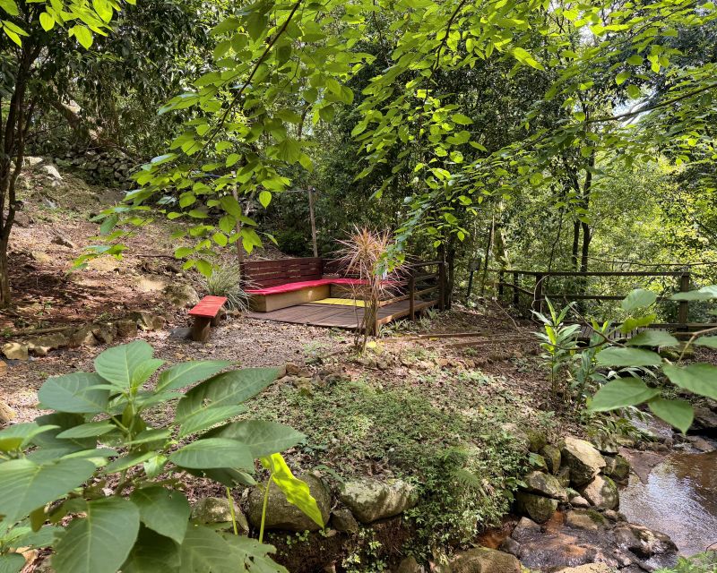 Um refúgio particular em meio à natureza. Com 11.700m² com piscina natural e água corrente, acesso privativo a duas cascatas.