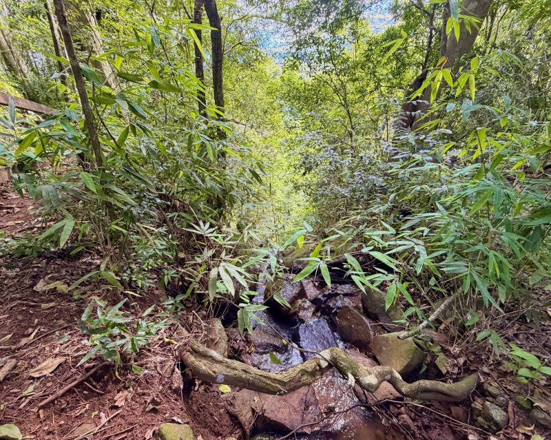 Um refúgio particular em meio à natureza. Com 11.700m² com piscina natural e água corrente, acesso privativo a duas cascatas.