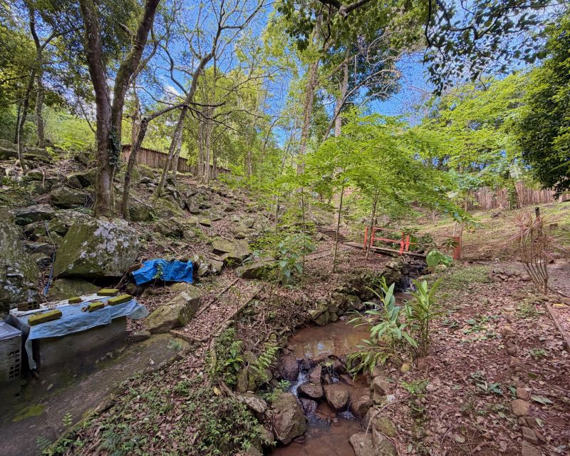 Um refúgio particular em meio à natureza. Com 11.700m² com piscina natural e água corrente, acesso privativo a duas cascatas.