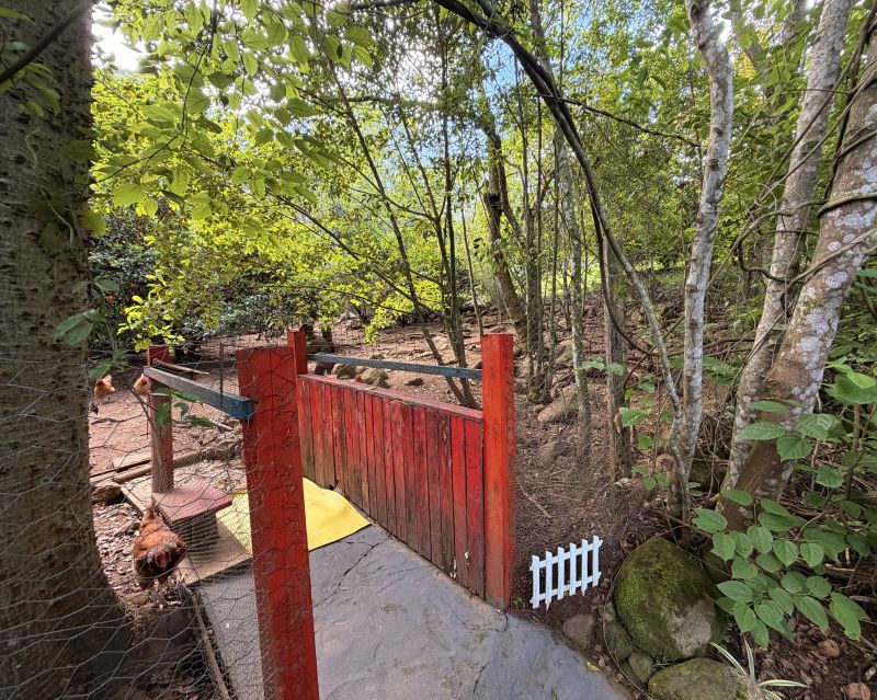 Um refúgio particular em meio à natureza. Com 11.700m² com piscina natural e água corrente, acesso privativo a duas cascatas.
