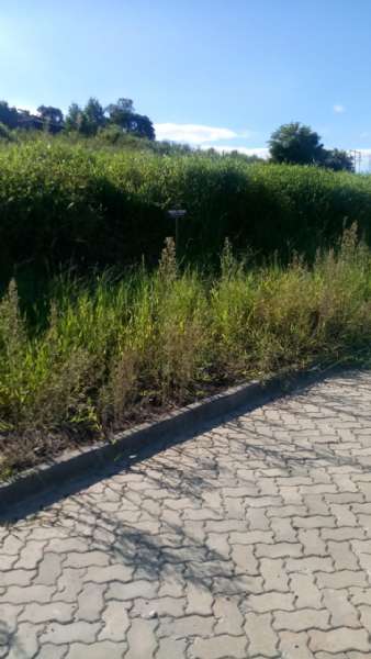Terreno à venda no bairro Ideal, Taquara