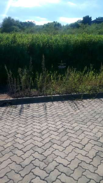 Terreno à venda no bairro Ideal, Taquara