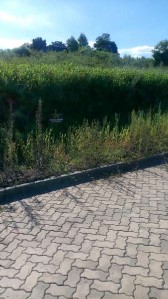 Terreno à venda no bairro Ideal, Taquara