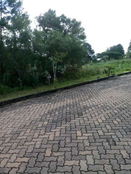 Terreno à venda no bairro Santa Rosa, Taquara
