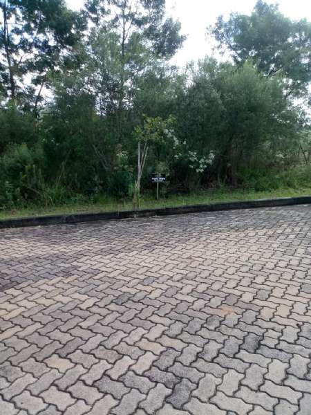 Terreno à venda no bairro Santa Rosa, Taquara