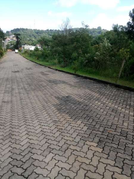 Terreno à venda no bairro Santa Rosa, Taquara