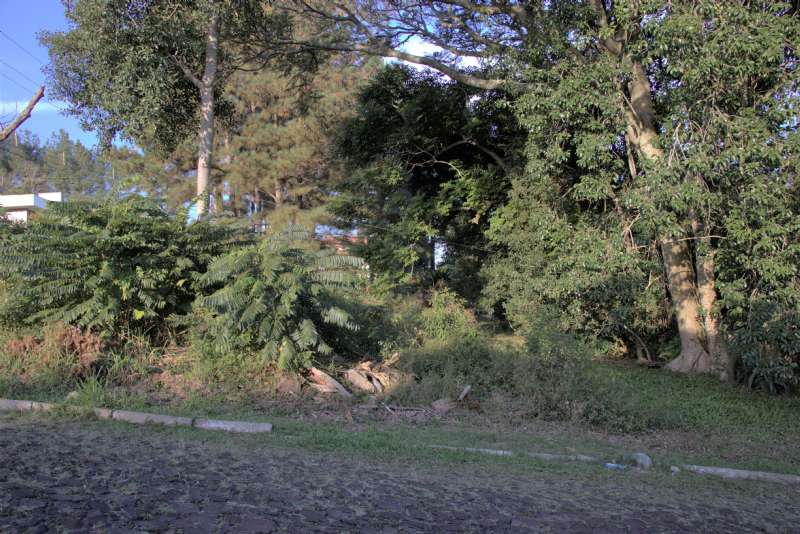 Terreno à venda no bairro Nossa Senhora de Fátima, Taquara
