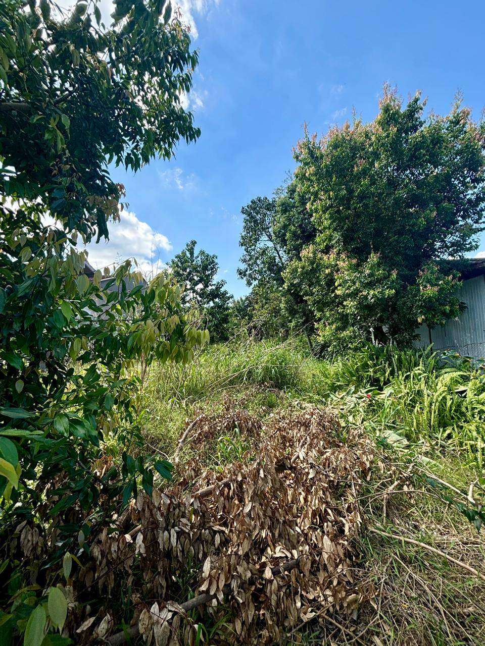 Terreno à venda no bairro Santa Rosa, Taquara