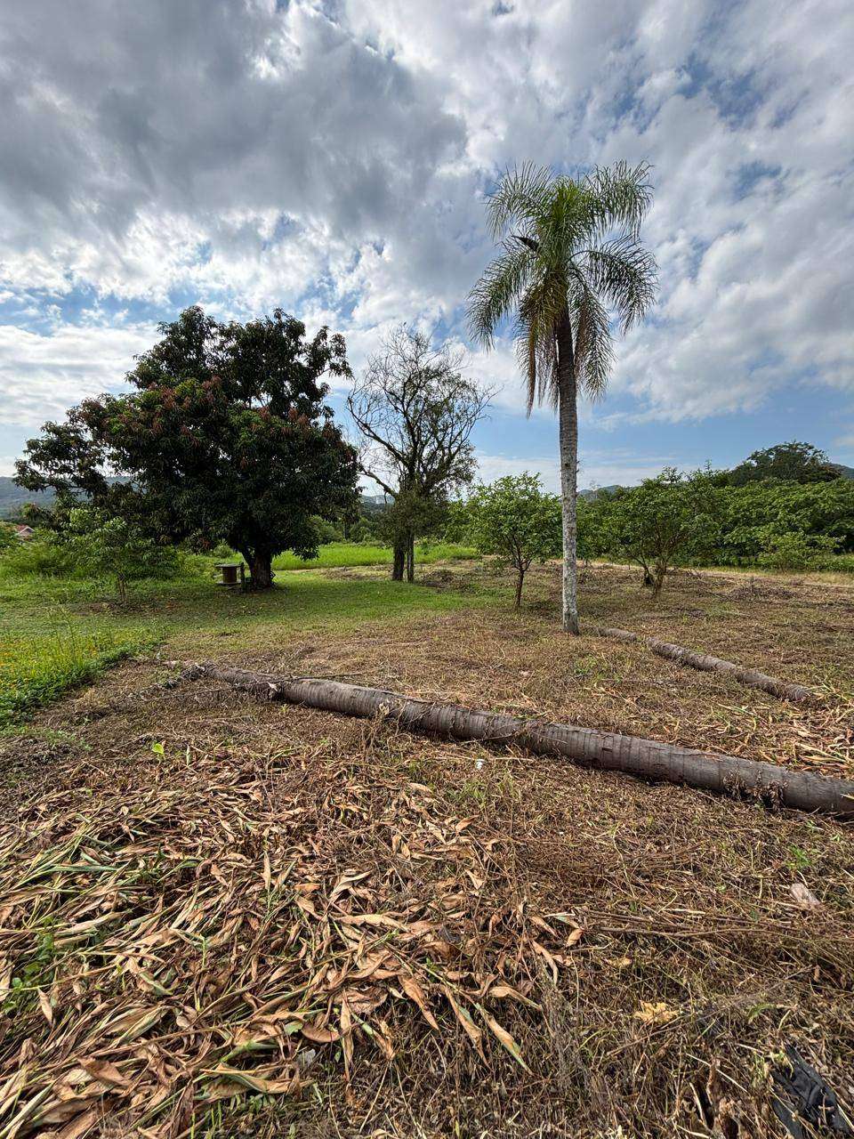 Terreno à venda no bairro Figueira, Igrejinha